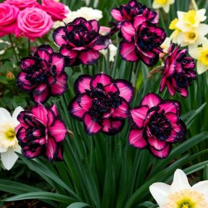 Нарцисс Золотая Корона купить по цене от 2000р. в интернет-магазине «Посадика» с доставкой почтой в в Невелье и по всей России – [изображение №1].